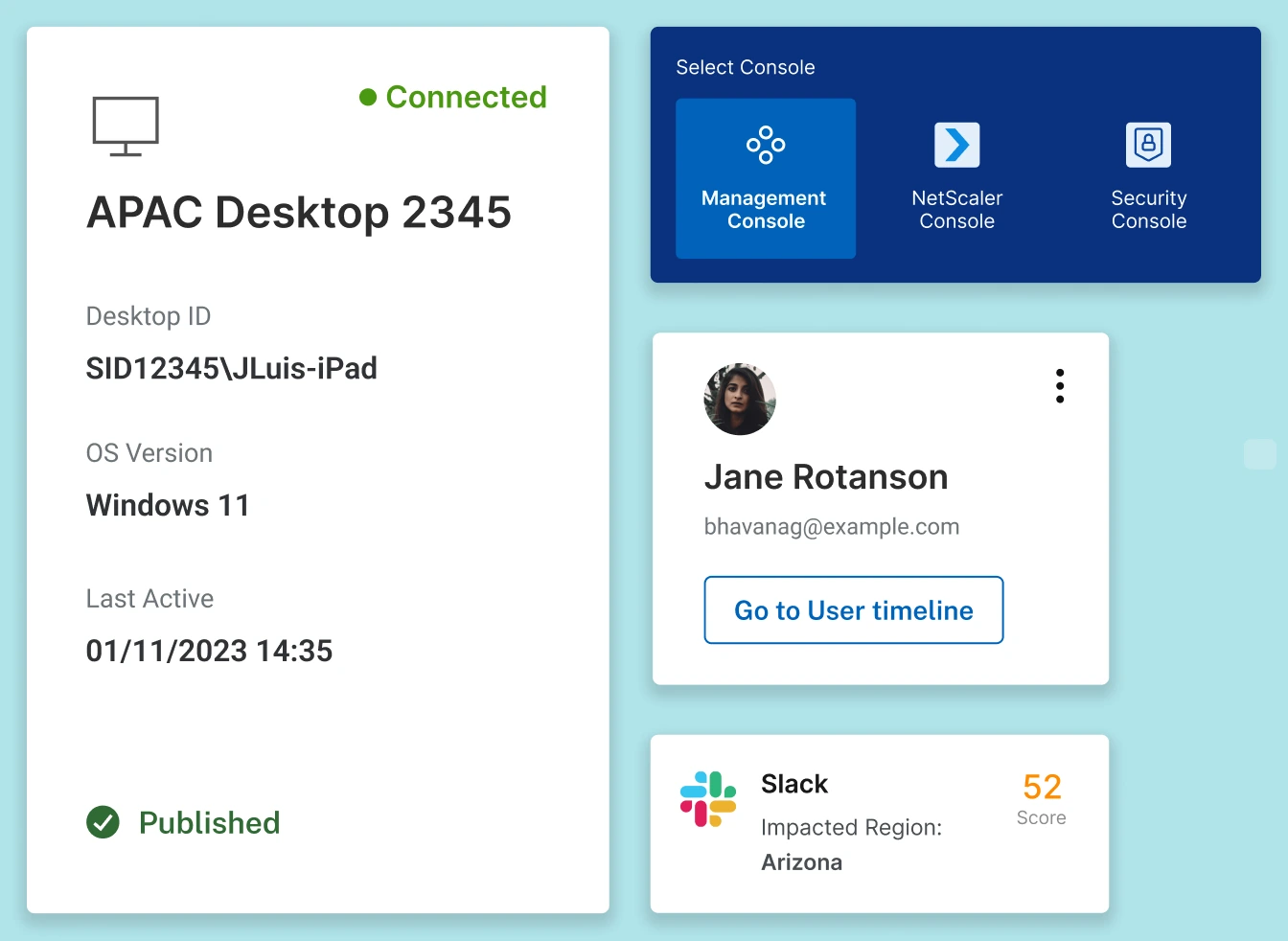 Interface components: desktop details, console switcher, user card and app status